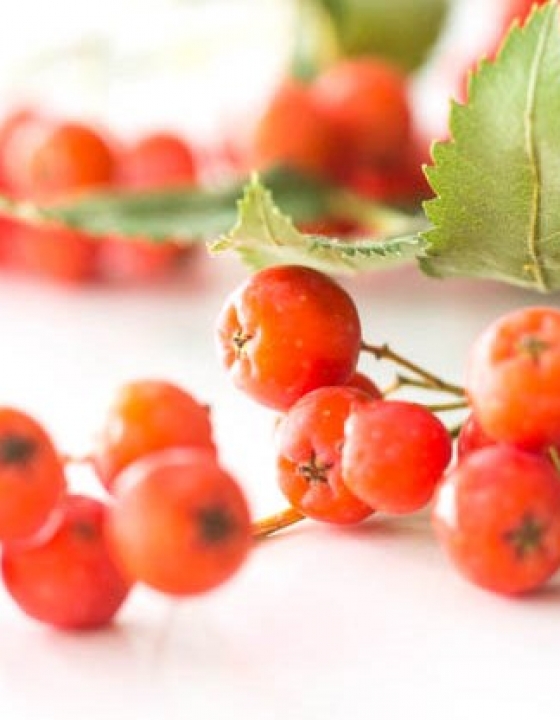 Brunchidee: Kinderschokolade Aufstrich - küchenkränzchen Brunchidee: Kinderschokolade Aufstrich - küchenkränzchen