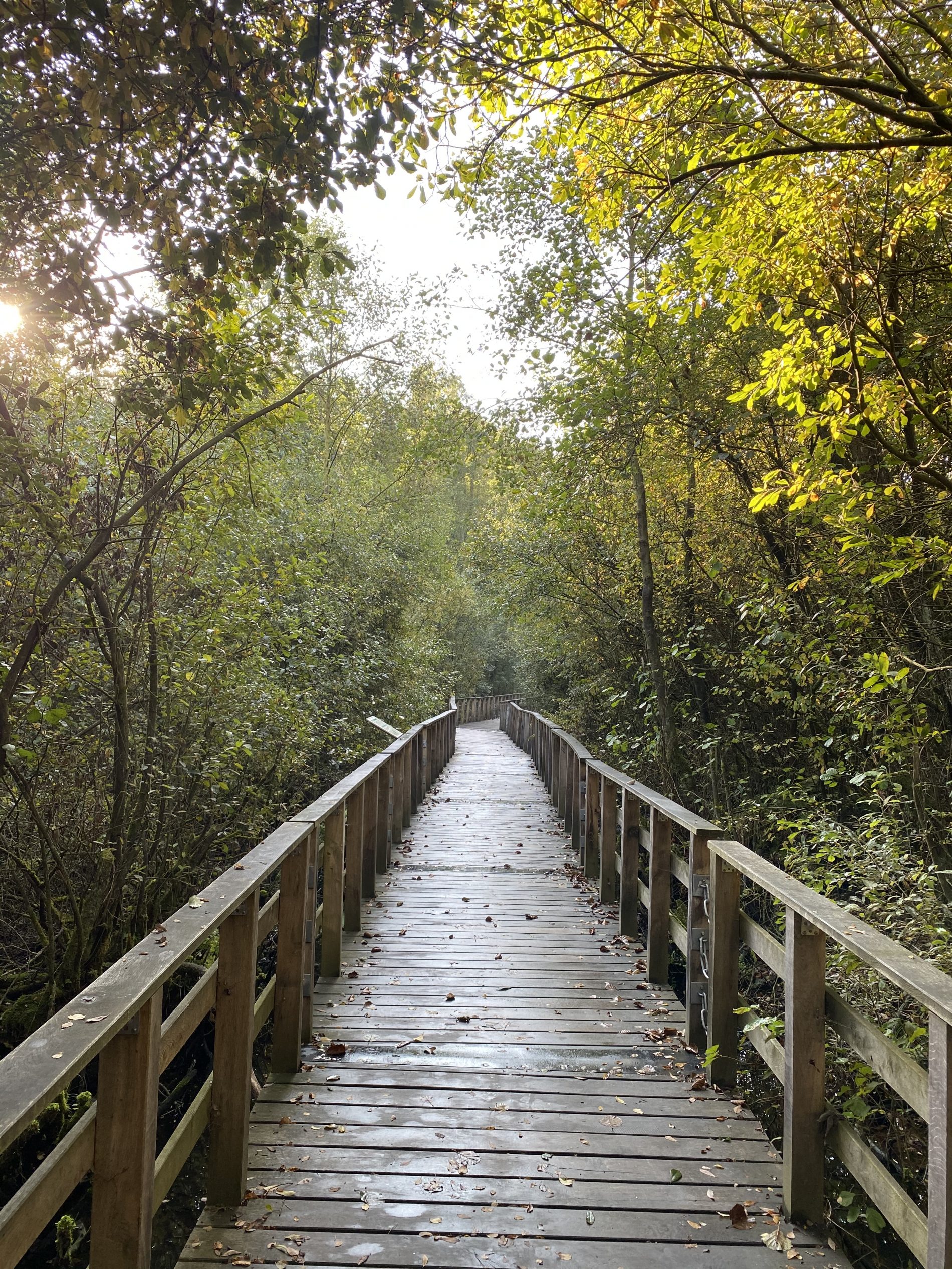 Ein Ausflug ins Naturschutzgebiet StellmoorAhrensburger Tunneltal