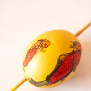 Schale mit Frühlingsblühern bepflanzen