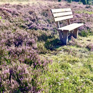 Fruchtig & Cremig: Stachelbeer Schmand Kuchen
