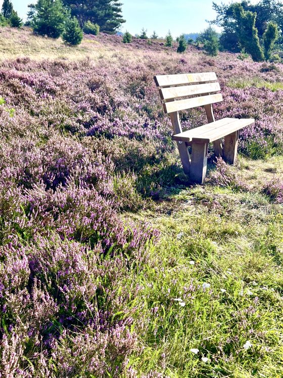 Ausflug nach Undeloh in der Lüneburger Heide