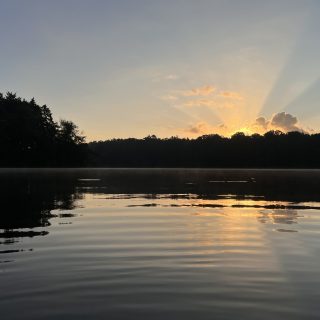 Marmelade mit Kornelkirschen