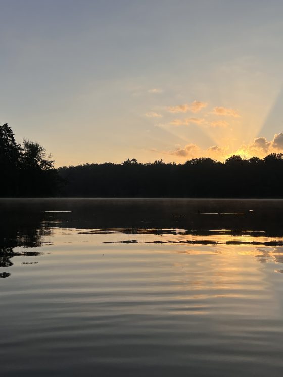 Neue Gewohnheiten – 90 Tage Schwimmen