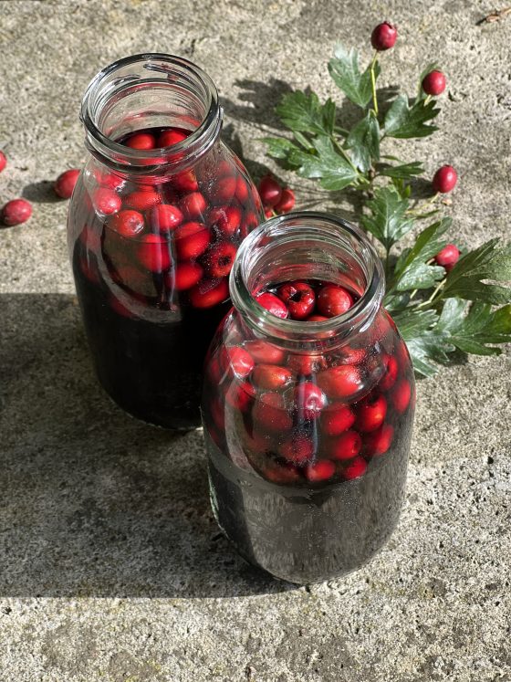 Herzwein: Weissdorn fürs Herz