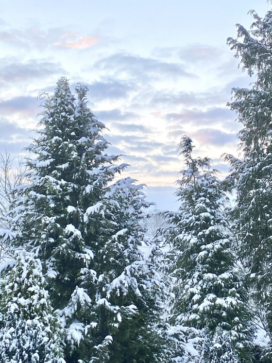 Aromatherapie für die Festtage: Düfte, die Vorfreude und Entspannung verbreiten