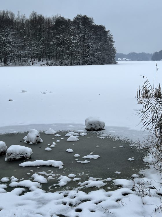 Der Sprung ins kalte Wasser – mit Eisbaden glücklich durch den Winter