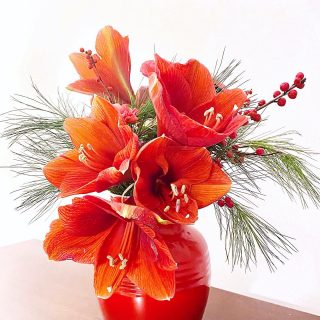 Festliche Genüsse: Orangenmarmelade mit Gewürzen