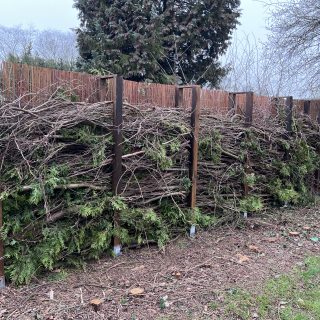 Liebe im Kerzenschein – Teelichter mit Liebesbotschaften zum Valentinstag