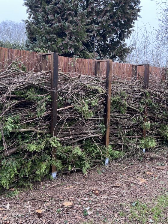 Naturschutz im eigenen Garten: Bau eines Benjeszauns