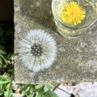 Schnittlauchblüten Essig